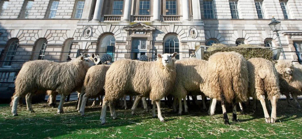 Wool Week: 6 Ways to Store Your Knitwear
