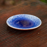 Splatterware Plate in Blue And White