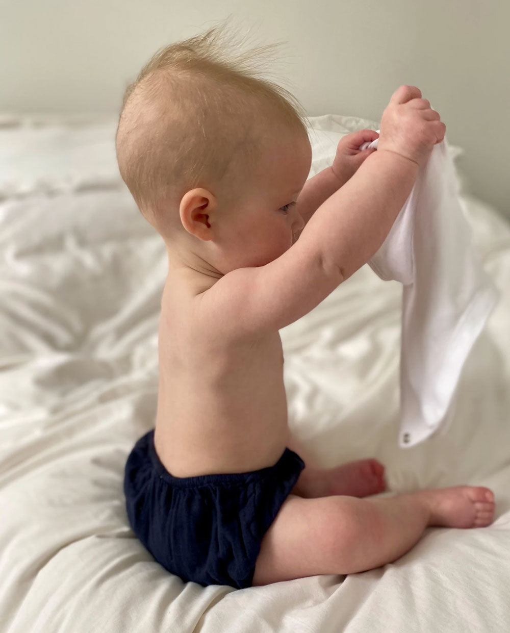 Gabriel Organic Cotton Baby Knickers In Navy