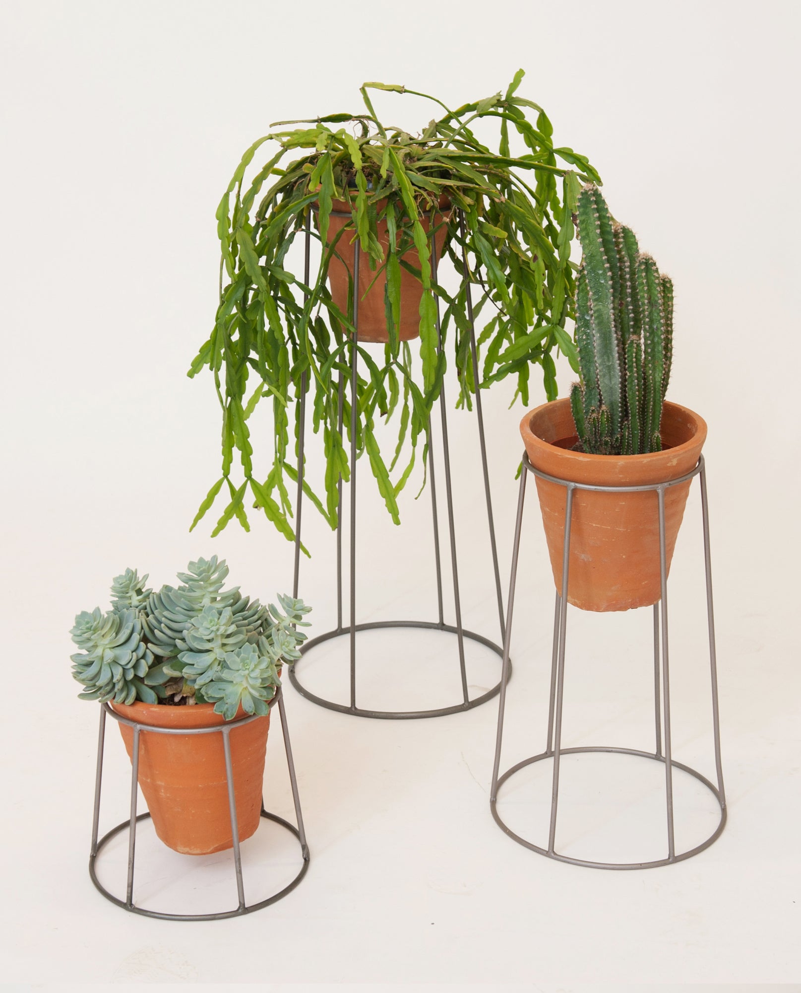 Chrome Plant Stand With Terracotta Pot