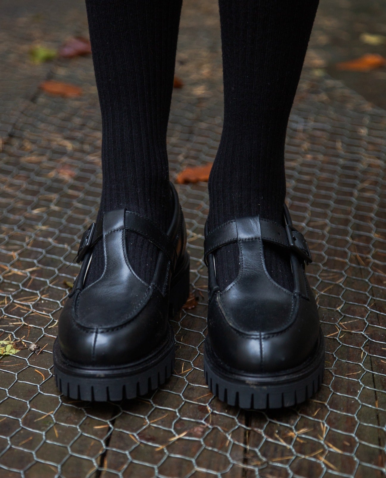 Ashford Mary Jane Buckle Shoe in Black