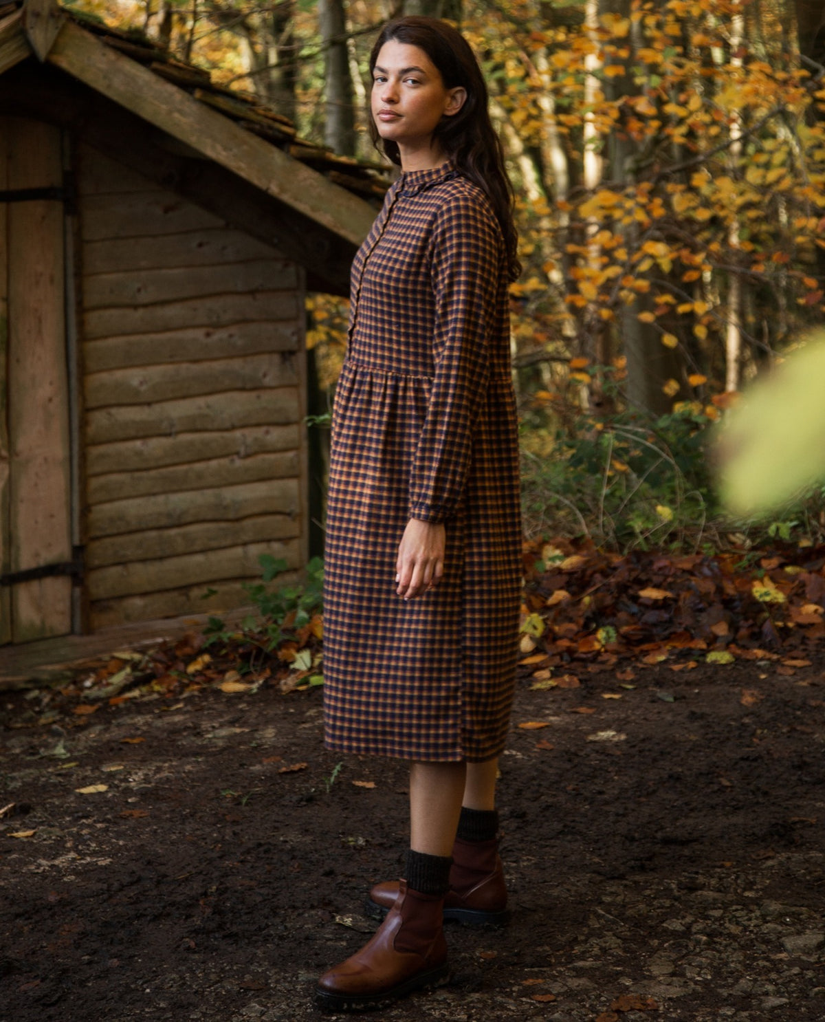 Beaumont Dress main image 1