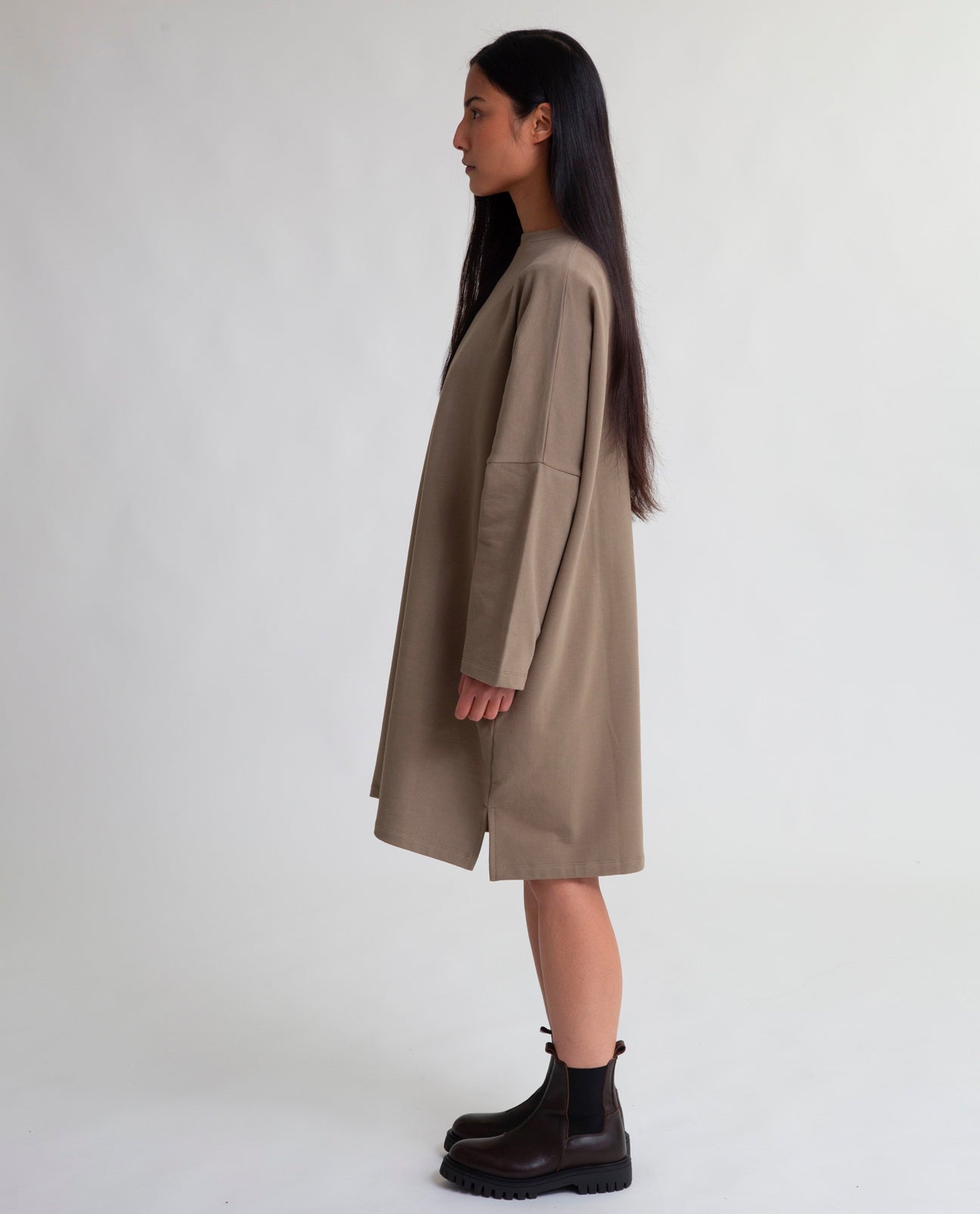 Sarasi Organic Cotton Dress In Lichen