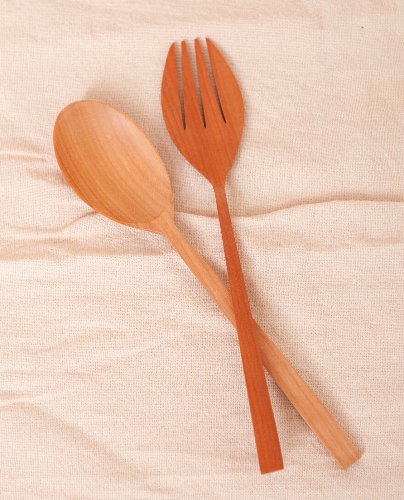 ANISA Adult Fork And Spoon