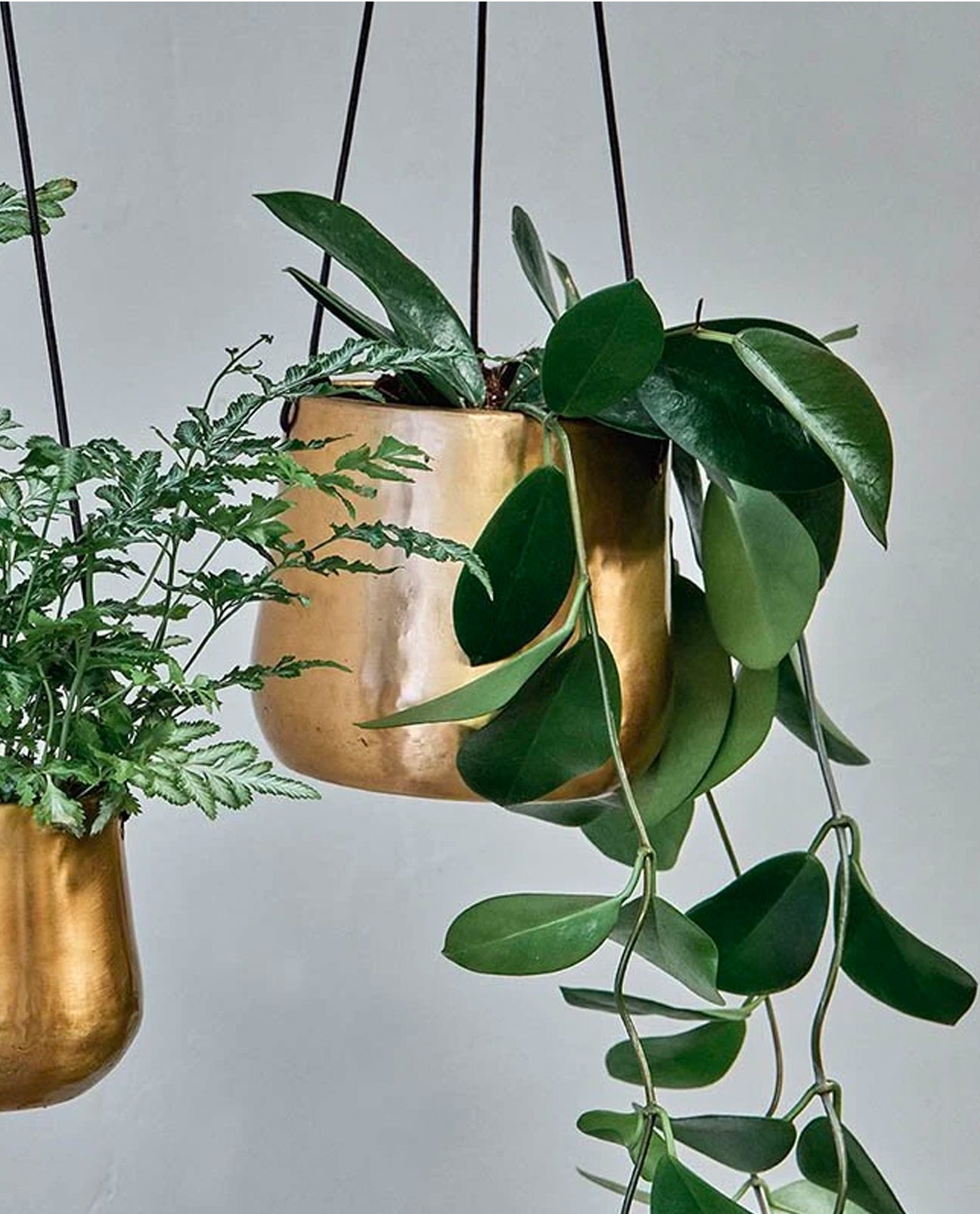 Atsu Brass Hanging Planter