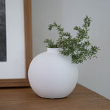 Branca-Ocactuu Vase in White