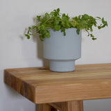 Obidos-Ocactuu Plant Pot in Blue